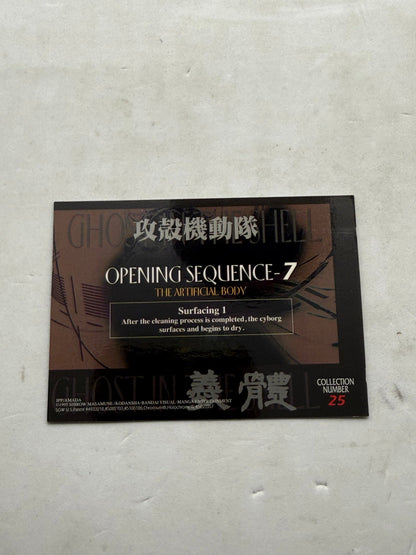 Ghost in the Shell 1995 Artificial Body Surfacing JPP Amada Card No.25 - Thrift GoblinTrading Card