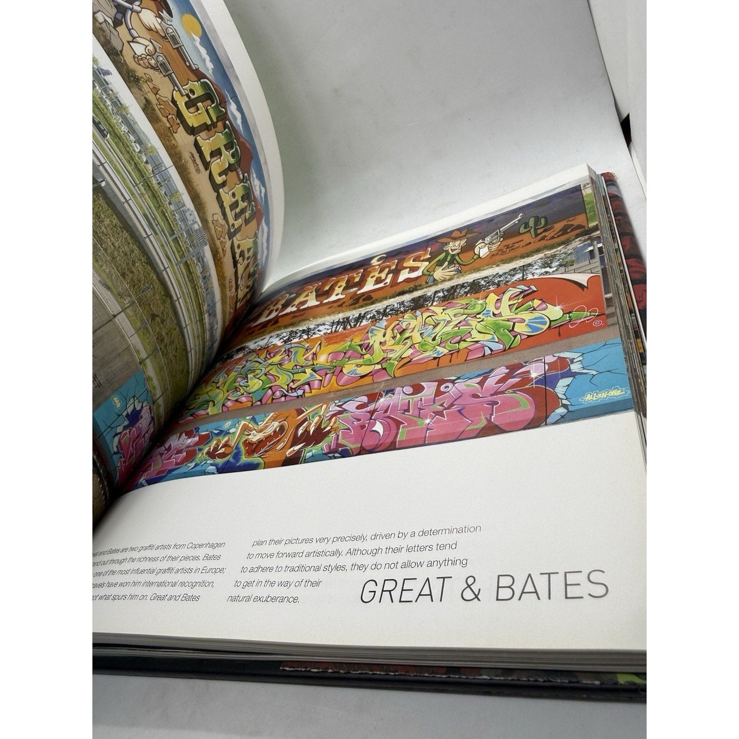 Graffiti World Street Art From Five Continents by Nicholas Ganz (2004) Bombing - thriftgoblin