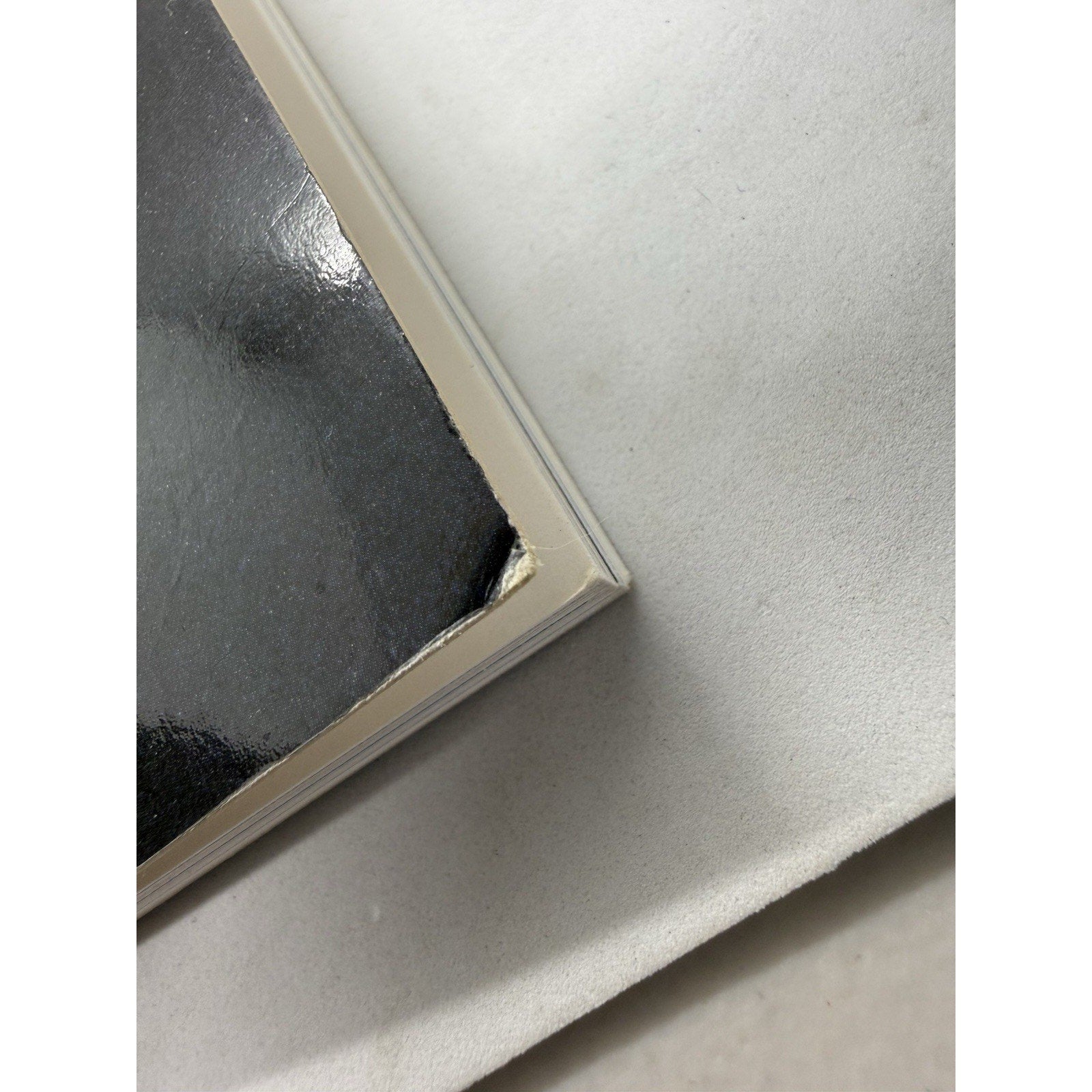 Hajime Sorayama Art works Book Collection Sexy Robot Illustration Germany 1989 - thriftgoblin