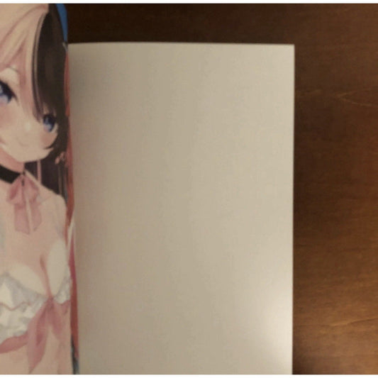 It's time to go! Shigeizumi Shippon Sheep Cat Art Book Illustration - thriftgoblin