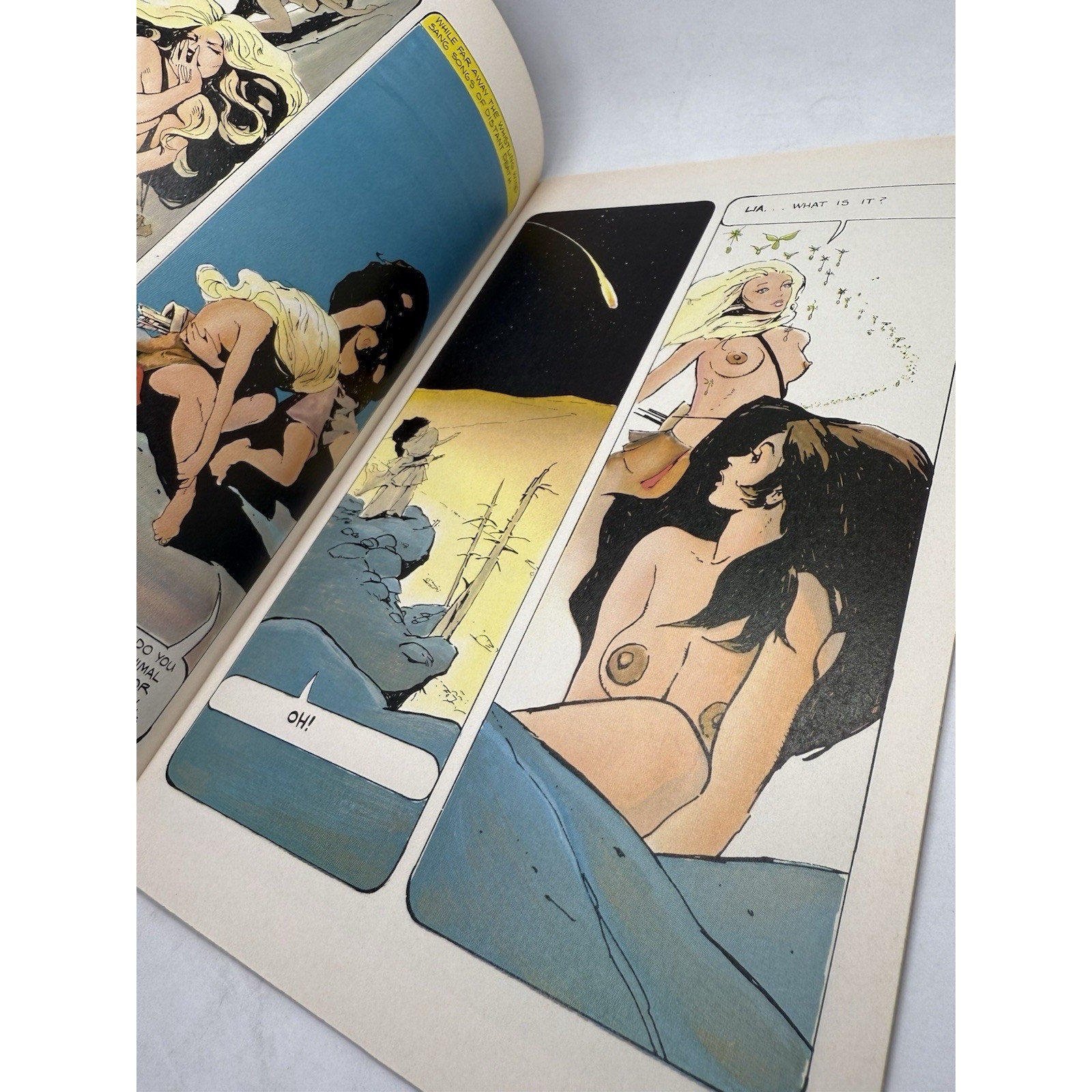 Jeffrey Jones Ravens & Rainbows No. 1 PC Comics 1980s Indie Fantasy Erotic NM - thriftgoblin