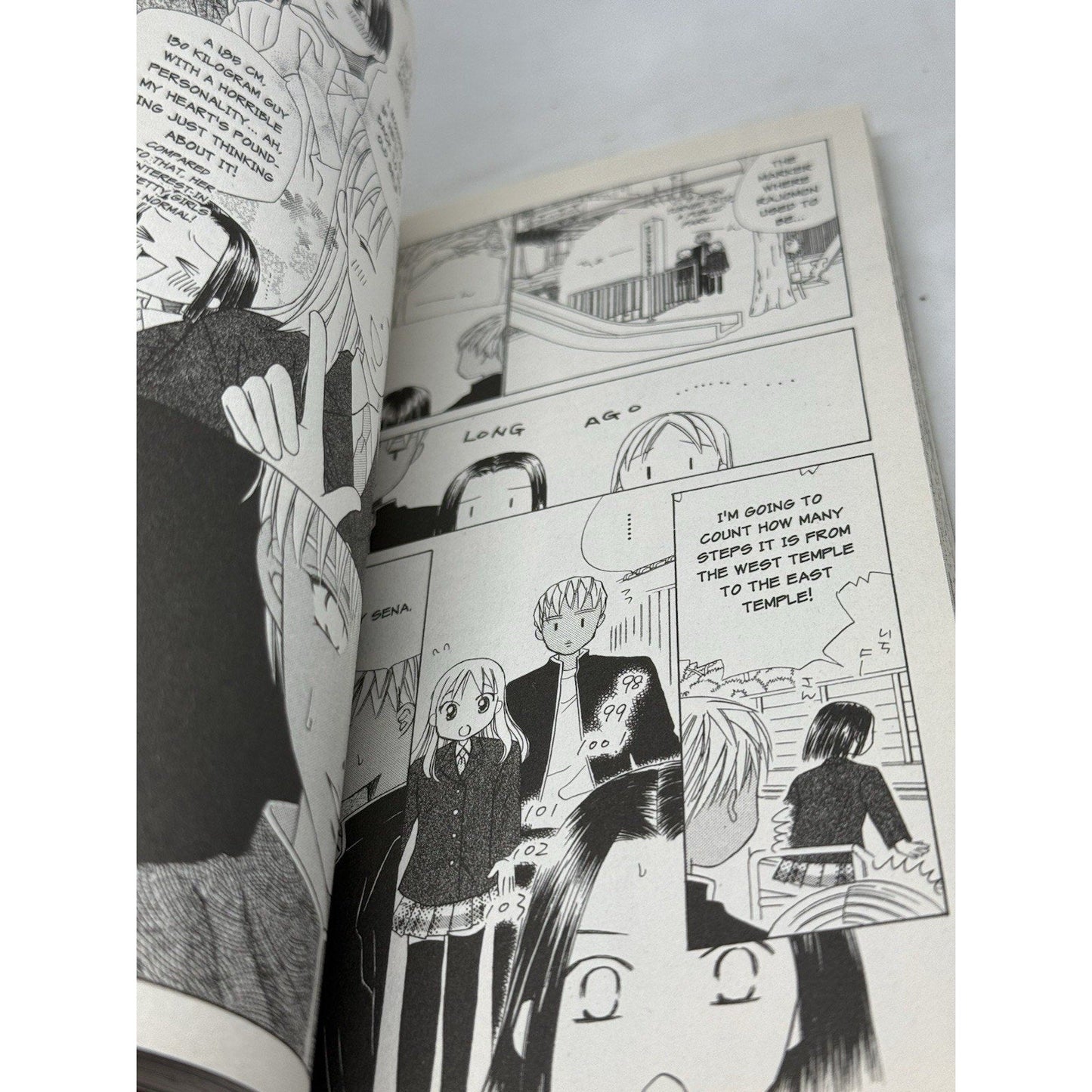 Kare Kano Vol 10 His and Her Circumstances Manga Masami Tsuda TOKYOPOP - thriftgoblin