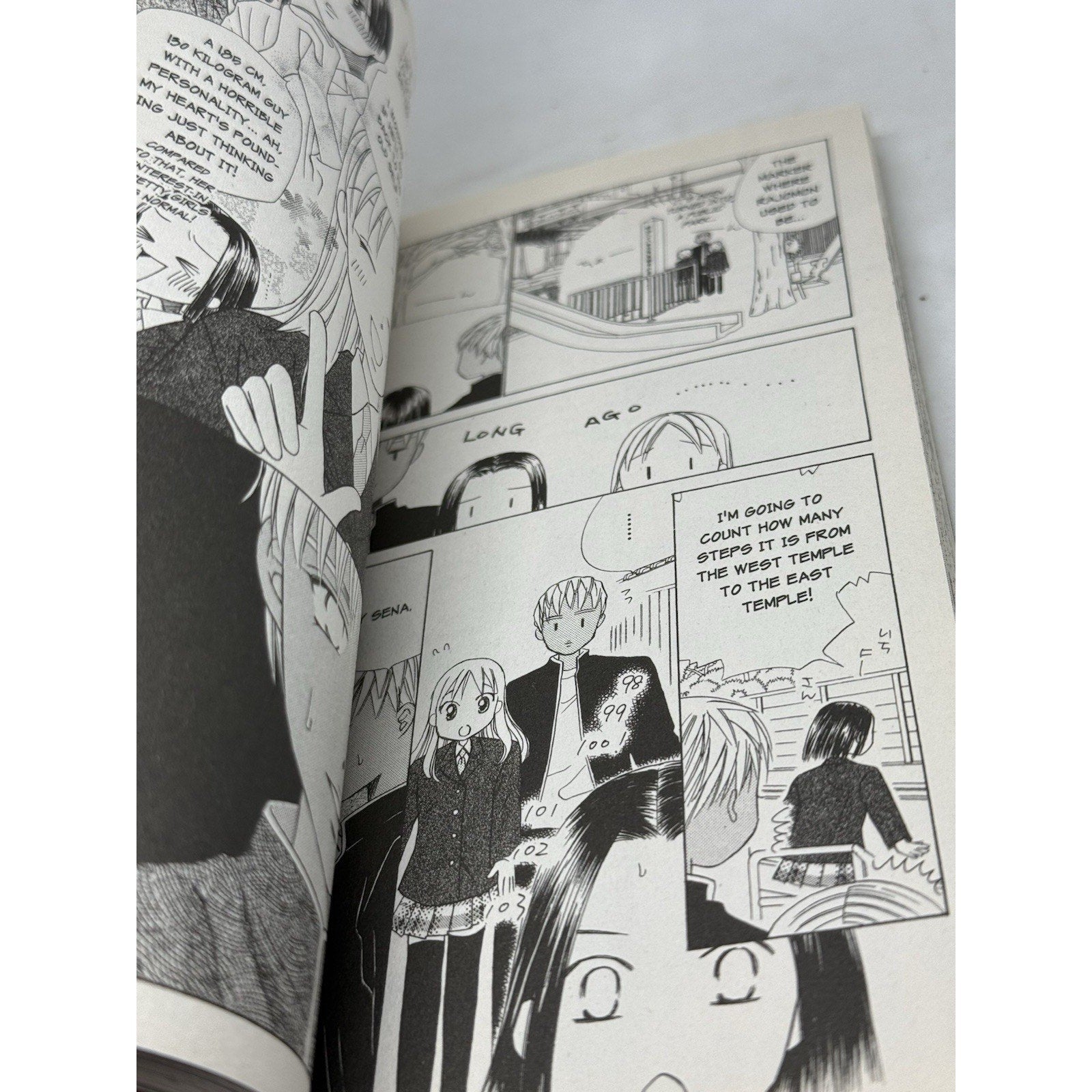 Kare Kano Vol 10 His and Her Circumstances Manga Masami Tsuda TOKYOPOP - thriftgoblin