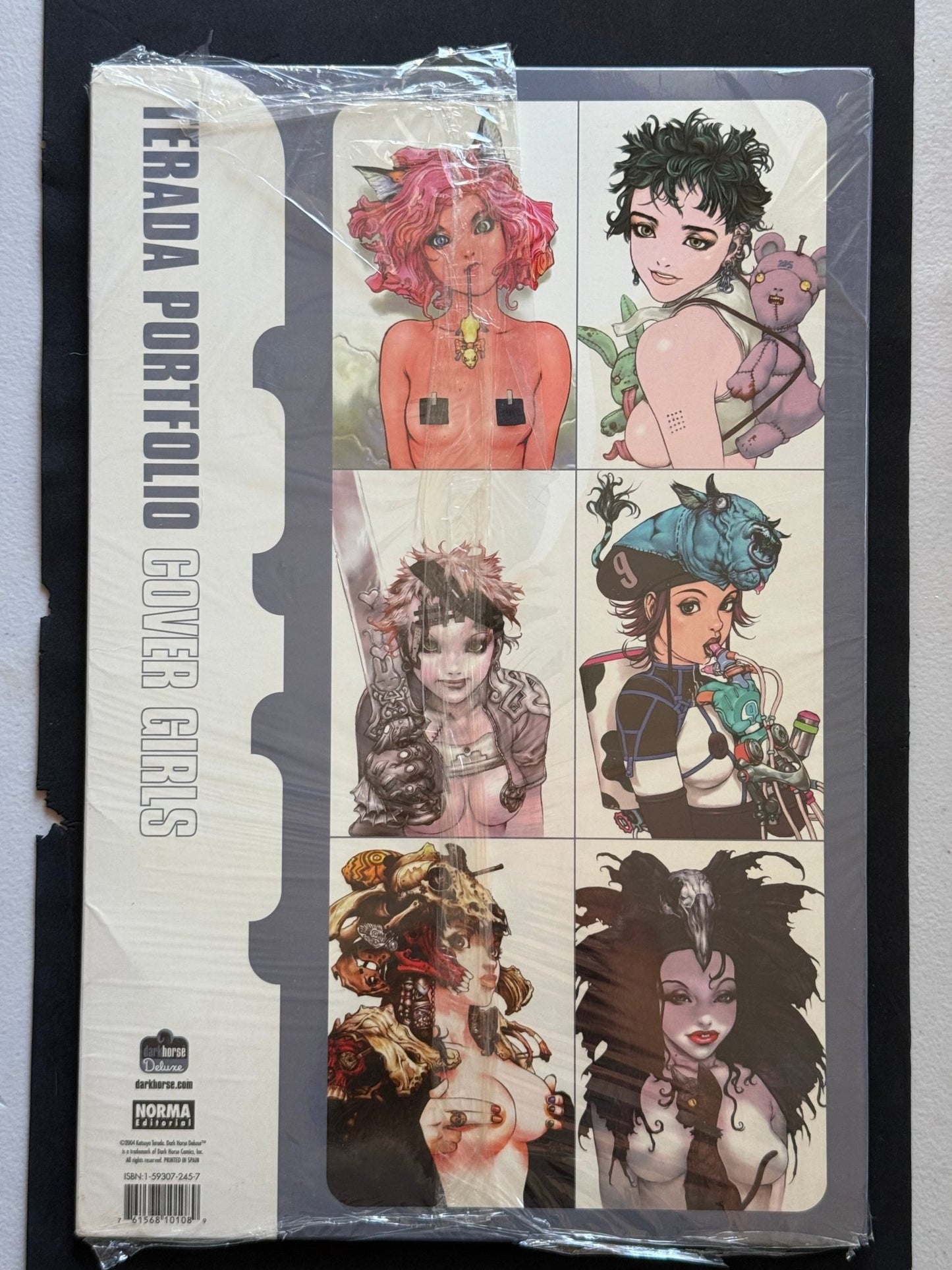 Katsuya Terada Portfolio Cover Girls Dark Horse Deluxe 2004 Sealed - thriftgoblinArt Book