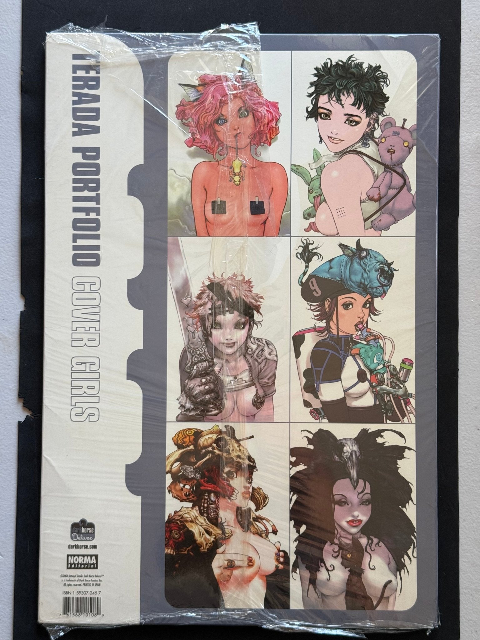 Katsuya Terada Portfolio Cover Girls Dark Horse Deluxe 2004 Sealed - thriftgoblinArt Book