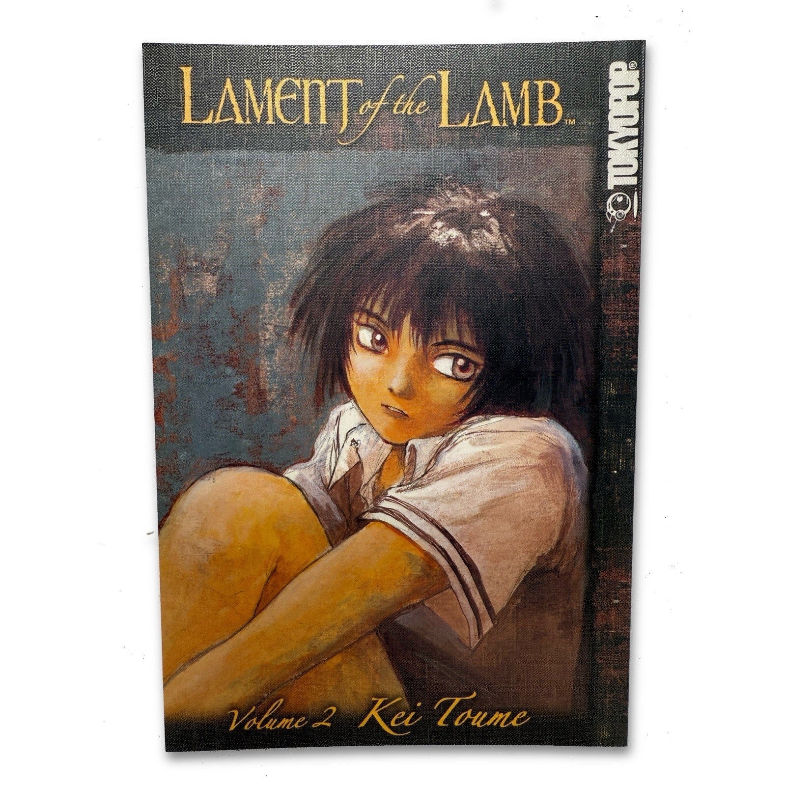 Lament of the Lamb, Vol. 2 Kei Toume Paperback Manga - thriftgoblin