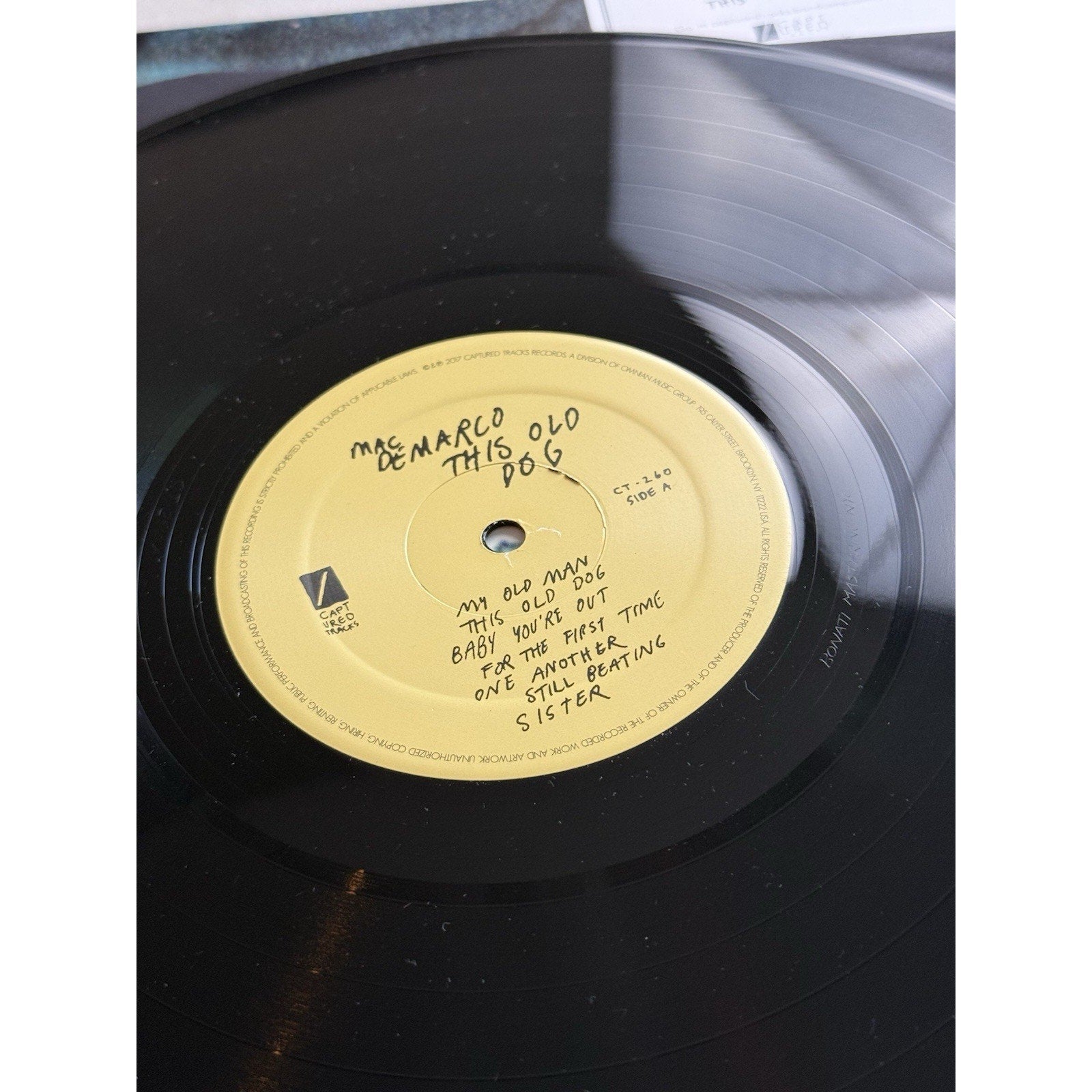 Mac DeMarco This Old Dog Vinyl LP 2017 Captured Tracks CT - 260 Rock Indie - thriftgoblin