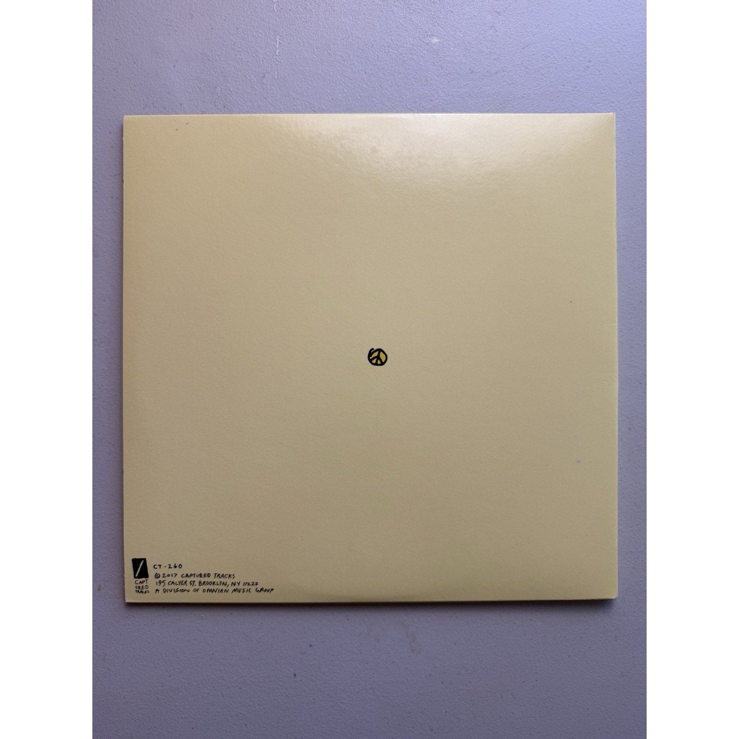 Mac DeMarco This Old Dog Vinyl LP 2017 Captured Tracks CT - 260 Rock Indie - thriftgoblin