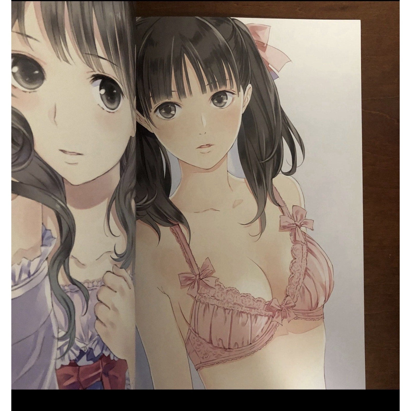 Melbook 2013 Summer Melonbooks Art Book Illustration Softcover A4 Japan - thriftgoblin