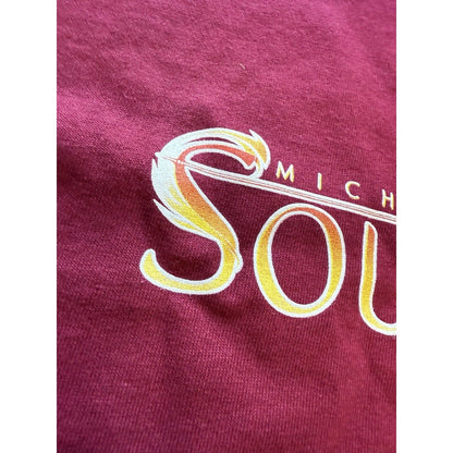 Michael Turner’s Soulfire Comic Promo Shirt 2005 Aspen MLT Maroon XL Fairy Fire - thriftgoblin