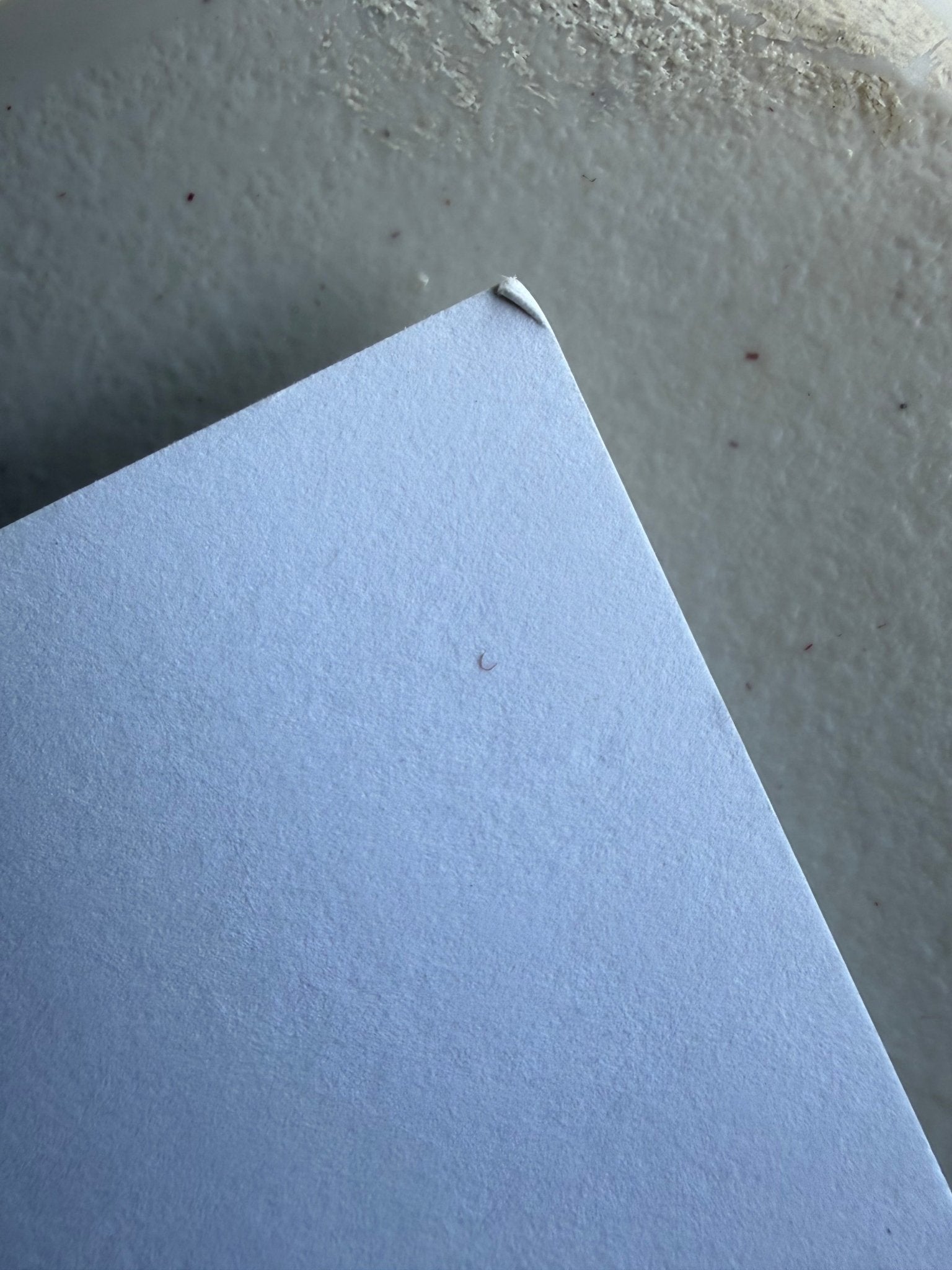 Nychos Rabbit Eye Movement Deepest Depths Burrow Signed Print 256/300 18x24 - thriftgoblinArt Print
