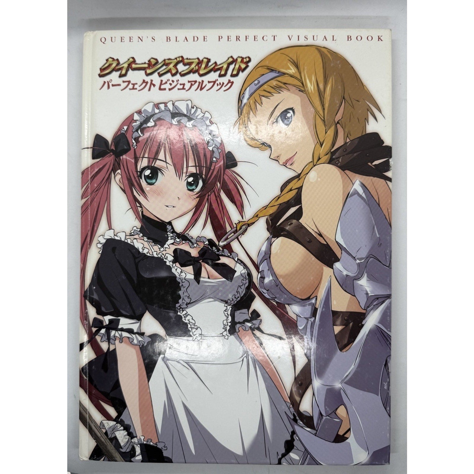 QUEEN'S BLADE Perfect Visual Book Art Works Fan Japan 2009 HJ07 See Condition - thriftgoblin