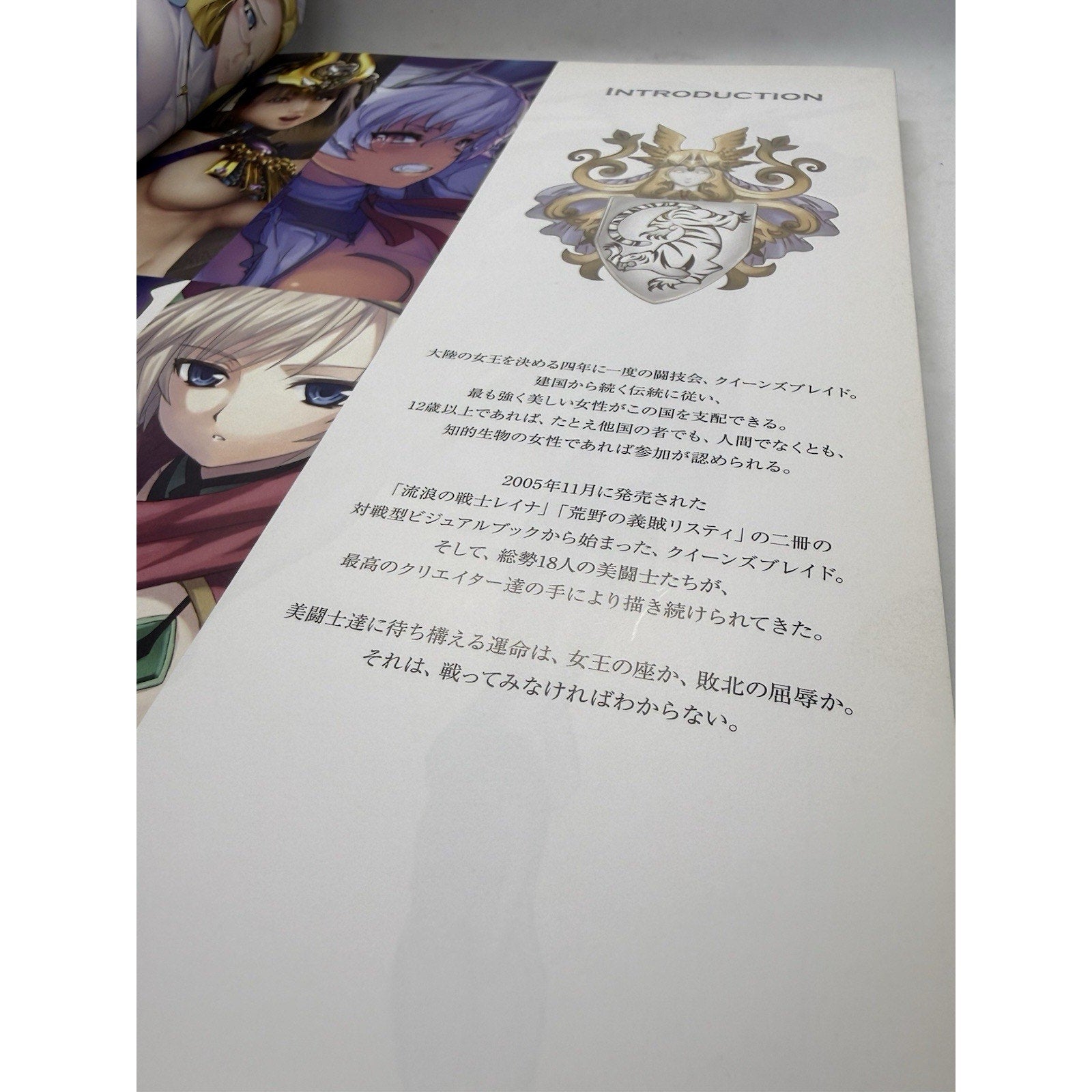QUEEN'S BLADE Perfect Visual Book Art Works Fan Japan 2009 HJ07