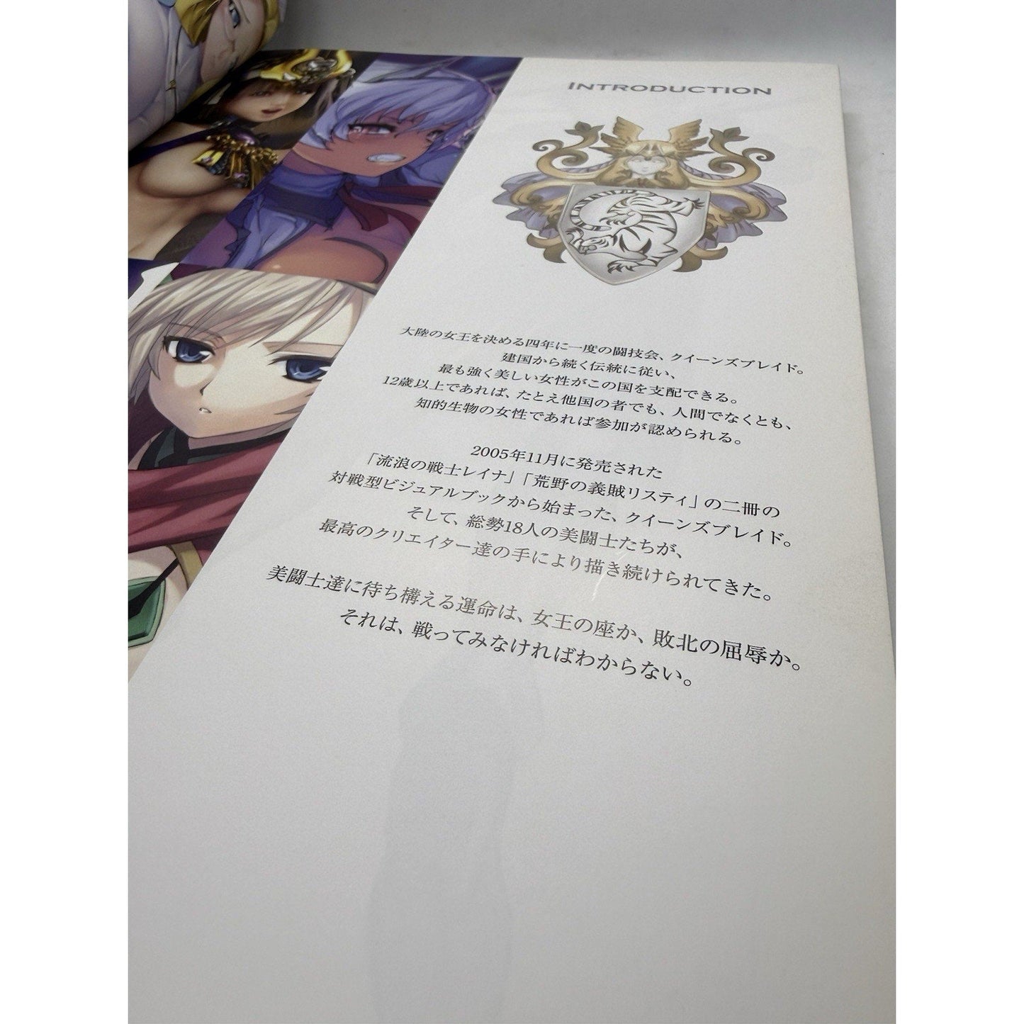 QUEEN'S BLADE Perfect Visual Book Art Works Fan Japan 2009 HJ07 See Condition - thriftgoblin
