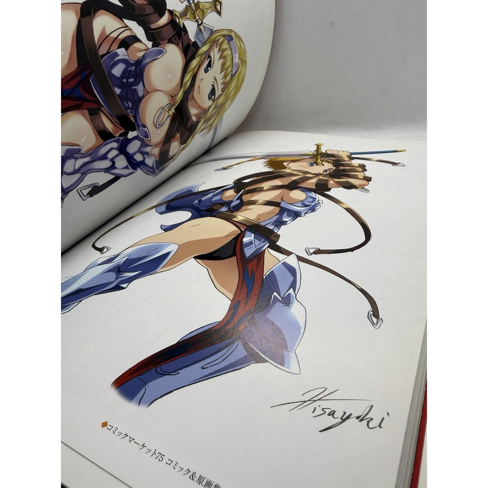 QUEEN'S BLADE Perfect Visual Book Art Works Fan Japan 2009 HJ07 See Condition - thriftgoblin