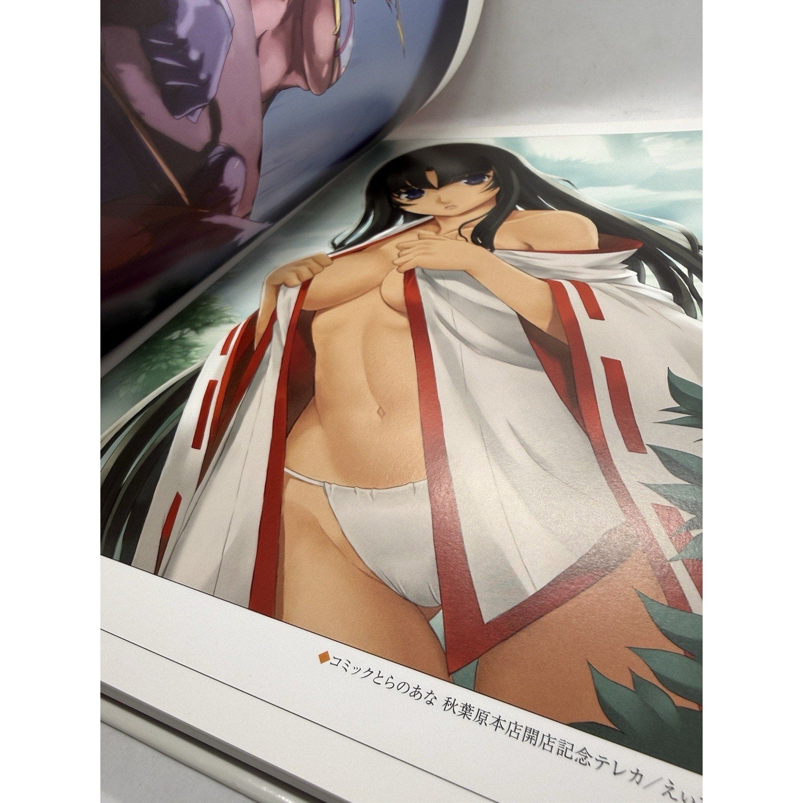 QUEEN'S BLADE Perfect Visual Book Art Works Fan Japan 2009 HJ07 See Condition - thriftgoblin