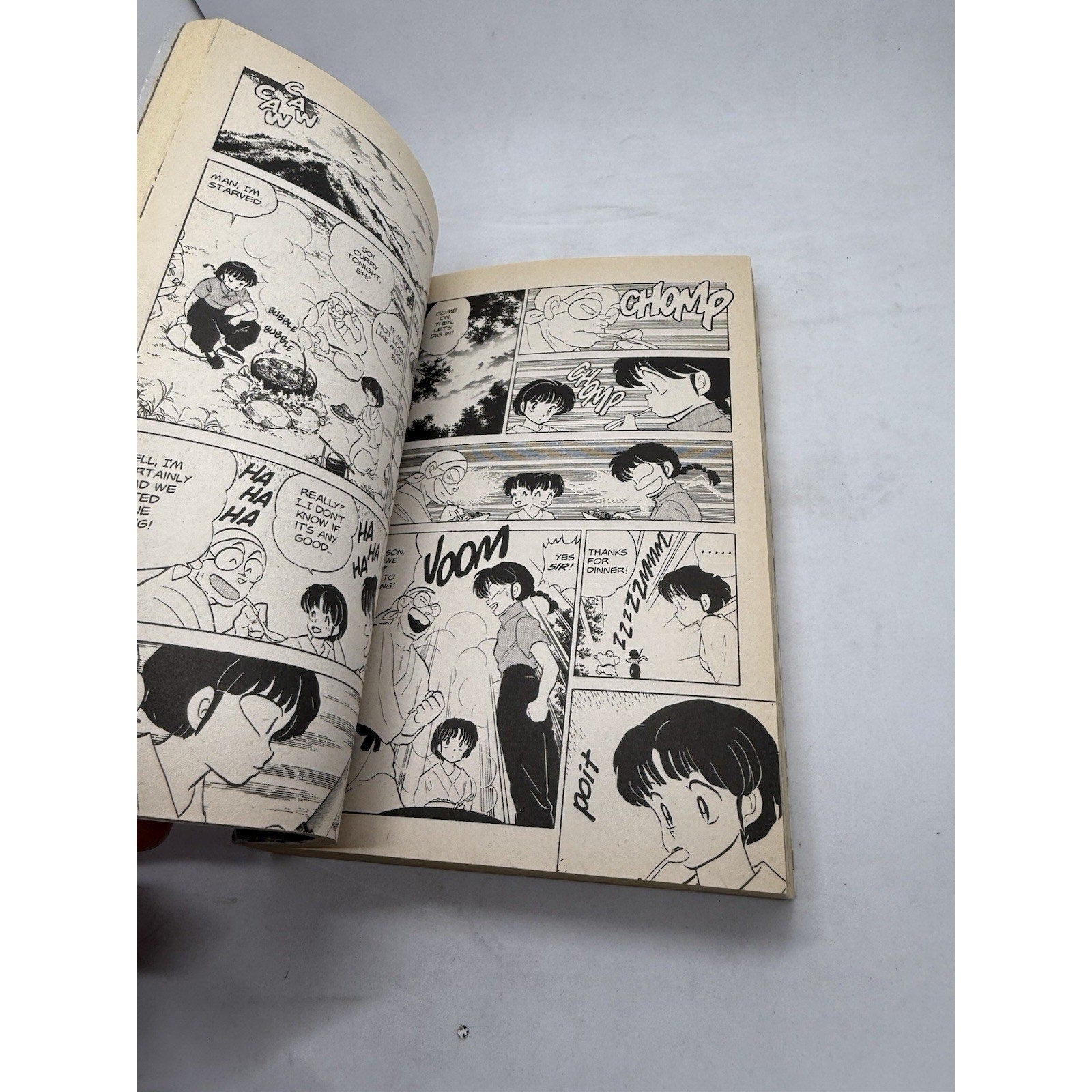 Ranma 1/2, Vol. 5 Manga Book Rumiko Takahashia 2003 Graphic Novel Netflix Romcom - thriftgoblin