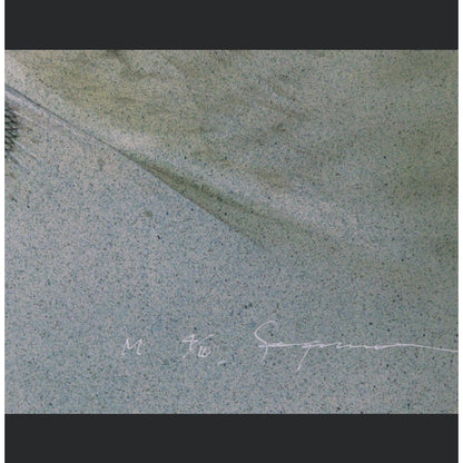 RARE Hajime Sorayama Wounded Mermaid Lithograph Signed, Limited 4/10 NAGA Era 90 - thriftgoblin