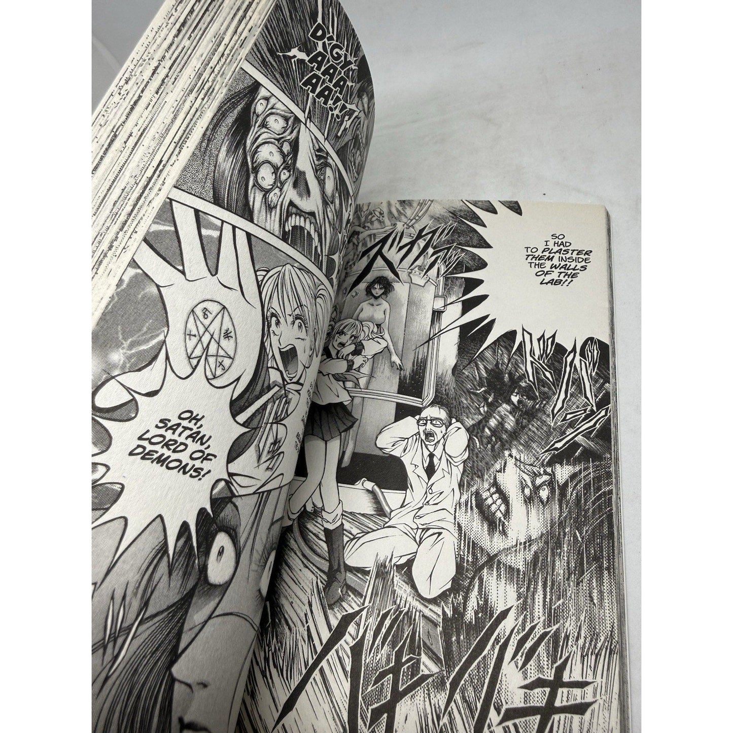 Reiko The Zombie Shop, Vol. 1 (v. 1) By Rei Mikamoto Dark Horse Manga Book - thriftgoblin