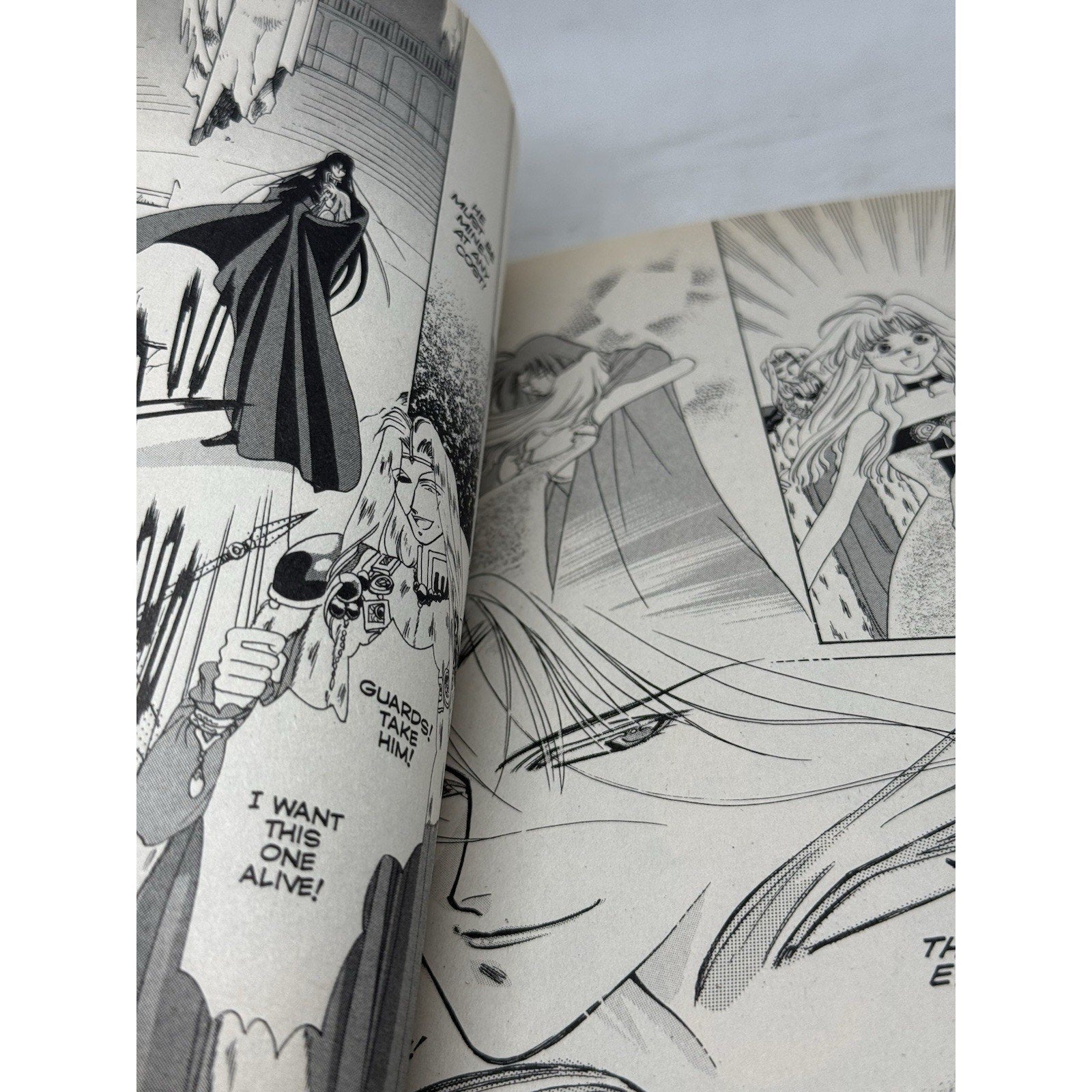 Seimaden Vol 2 Manga Higuri You CMX Fantasy DC Comics 2005 Demon King Laures - thriftgoblin