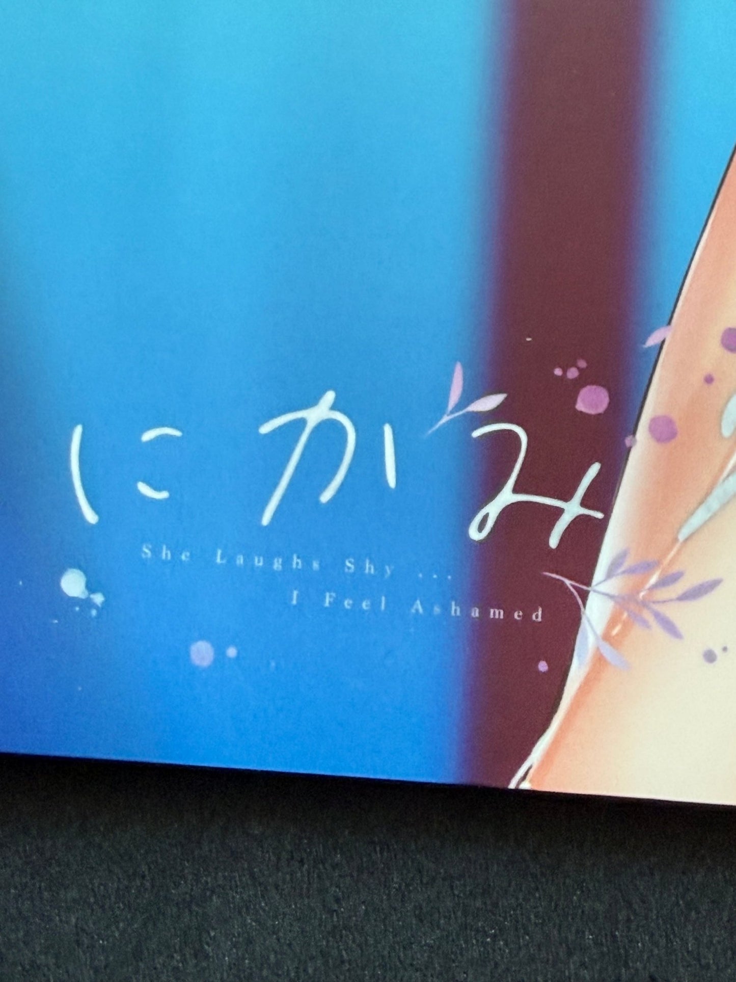 SiStart! MAHO - BIN Piromizu Doujin Illustration Book Comiket 96 2019 B5 - thriftgoblinDoujin