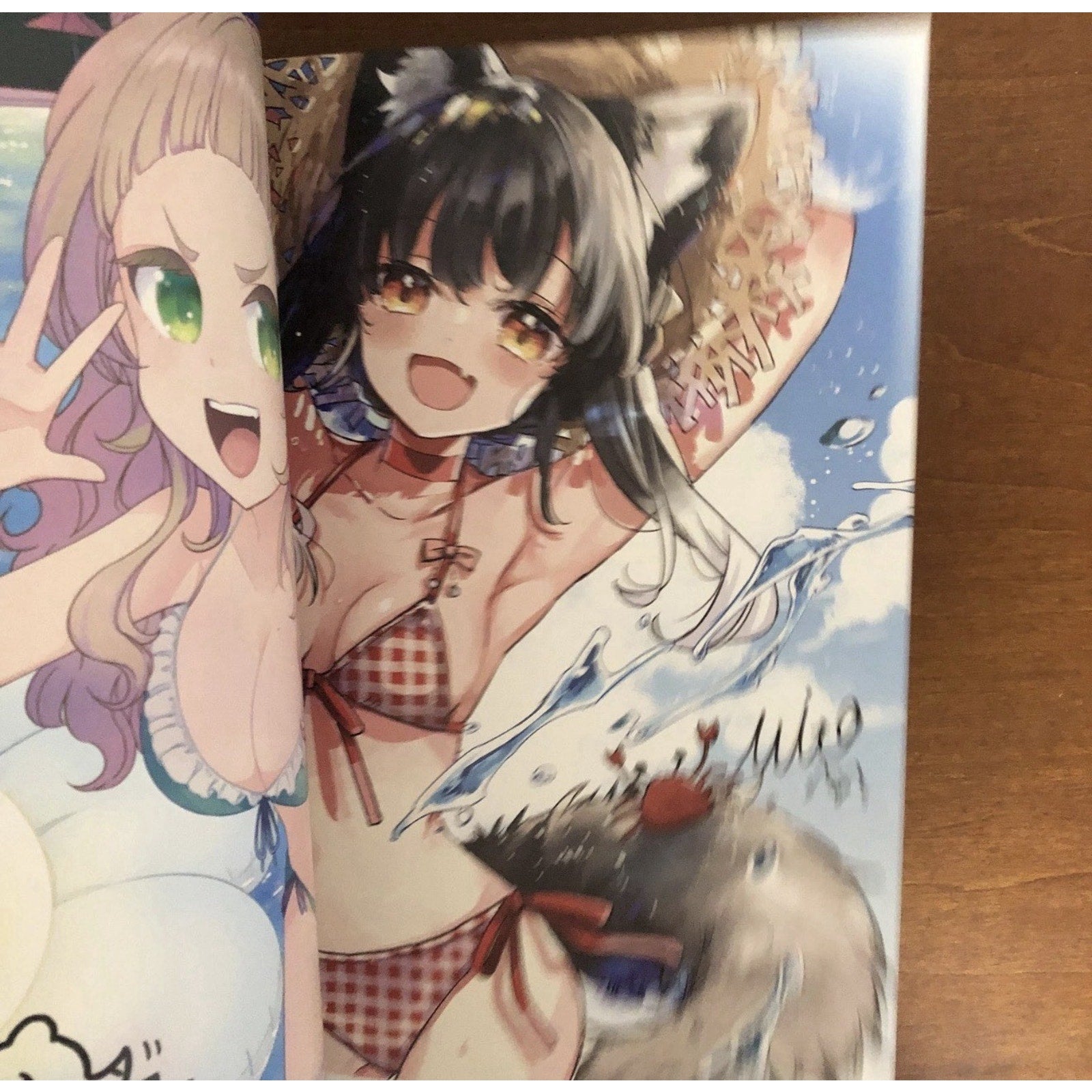 Sweet Melon Girl Collection hana Melonbooks Art Book Illustration - thriftgoblin