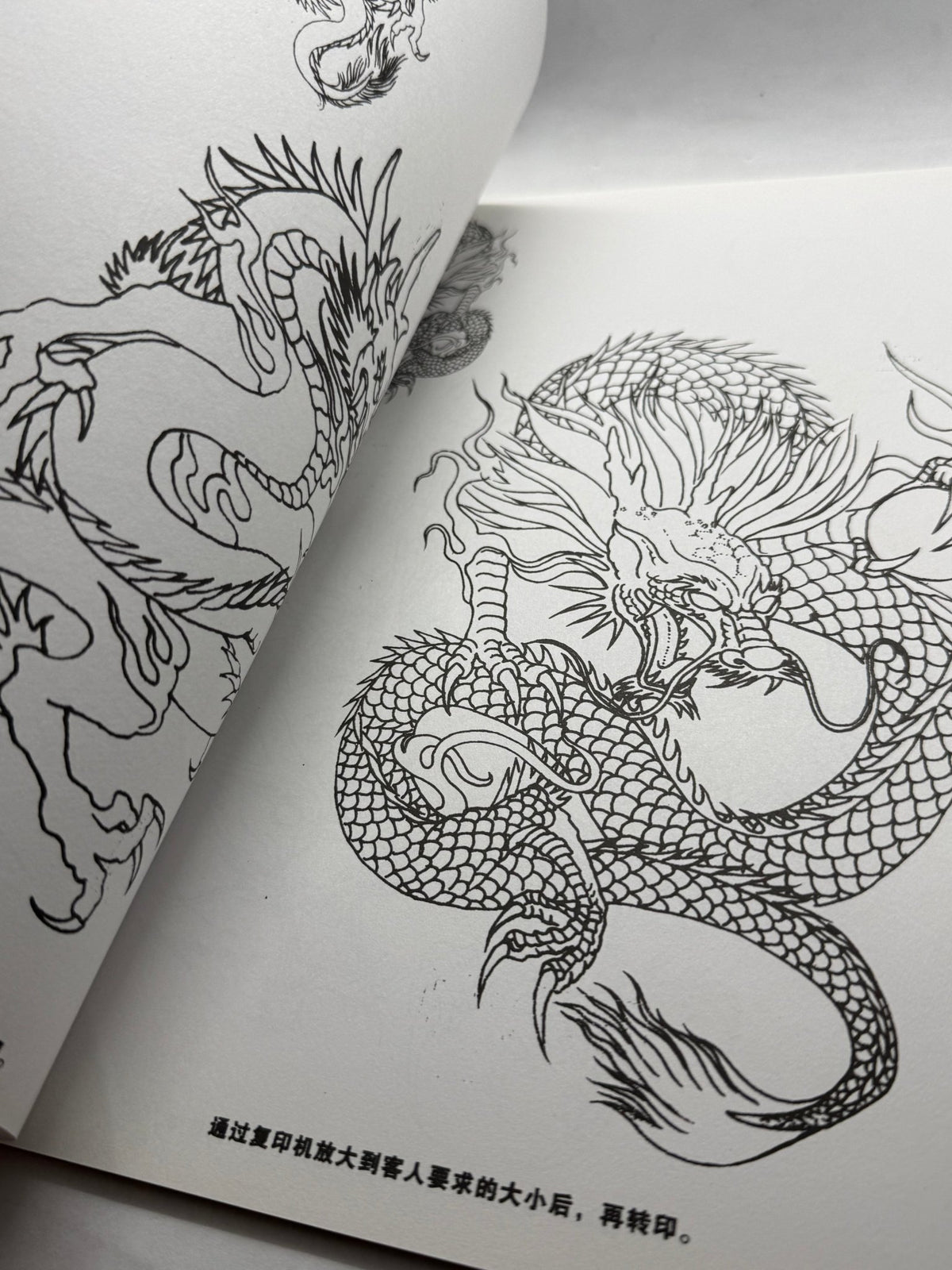 Tattoo Master Family 12 Chinese Tattoo Flash Book, Dragon Designs - Thrift GoblinBook