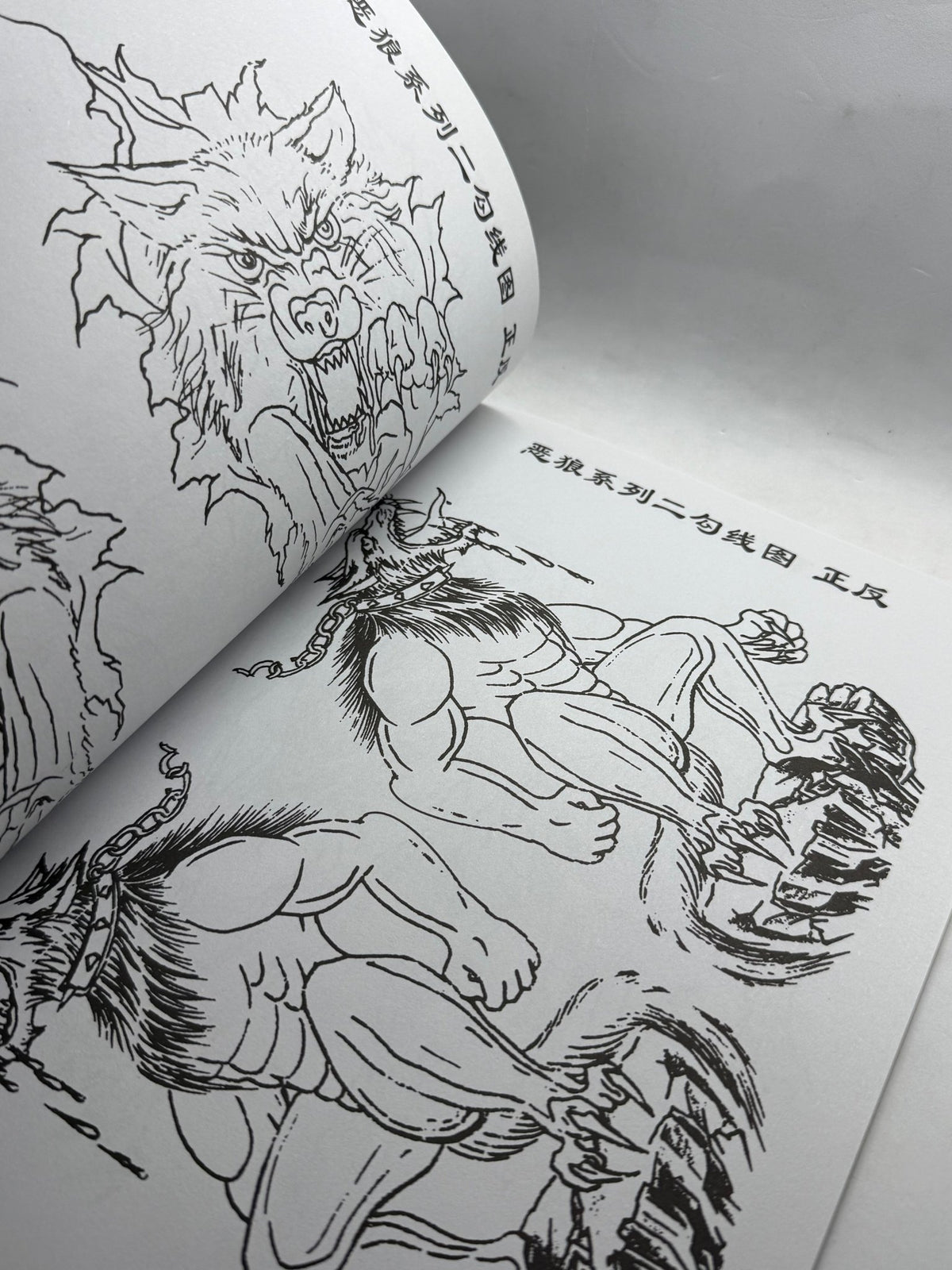 Tattoo Master Family 2 Chinese Tattoo Flash Book, Wolves Qilin Foxes - Thrift GoblinBook