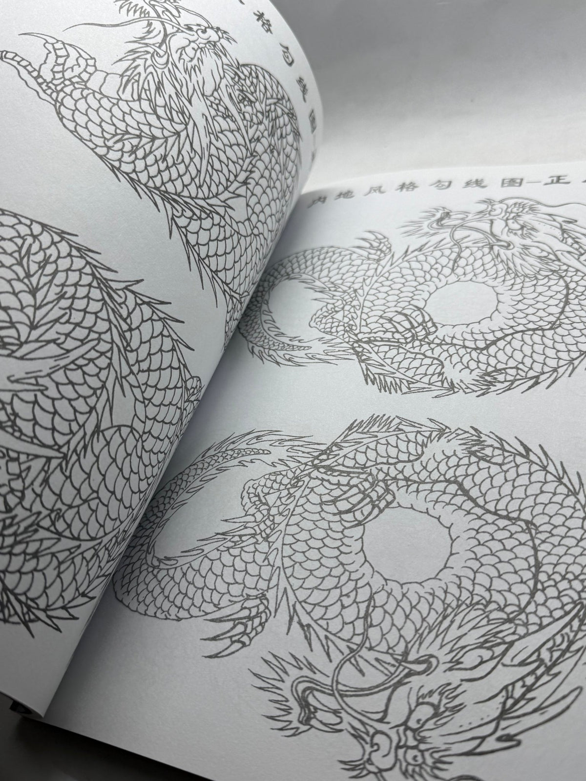 Tattoo Master Family 3 Chinese Dragon Tattoo Flash Book, Master Works - Thrift GoblinBook