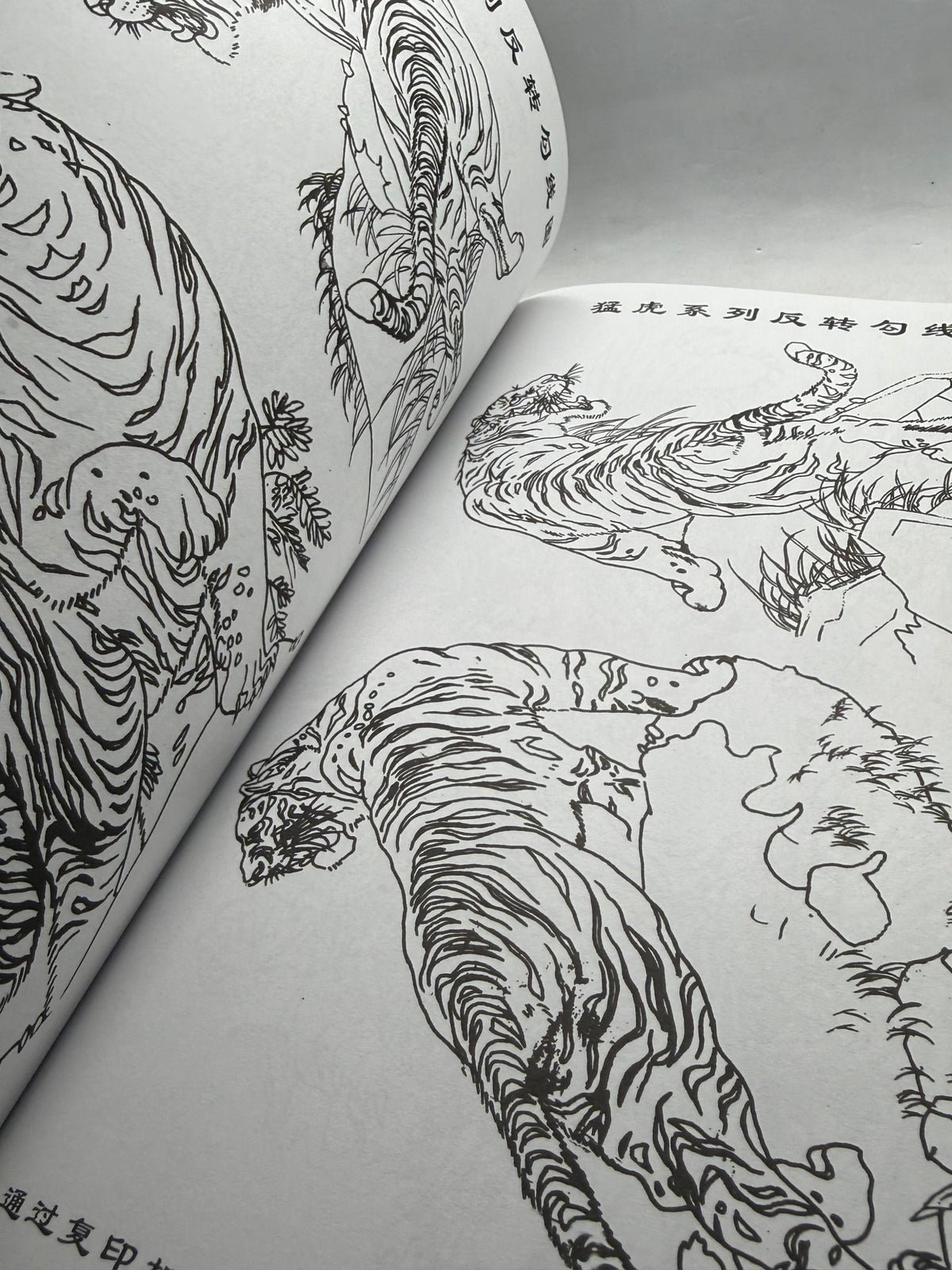 Tattoo Master Family 5 Chinese Tattoo Flash Book, Tigers Lions Leopards - Thrift GoblinBook