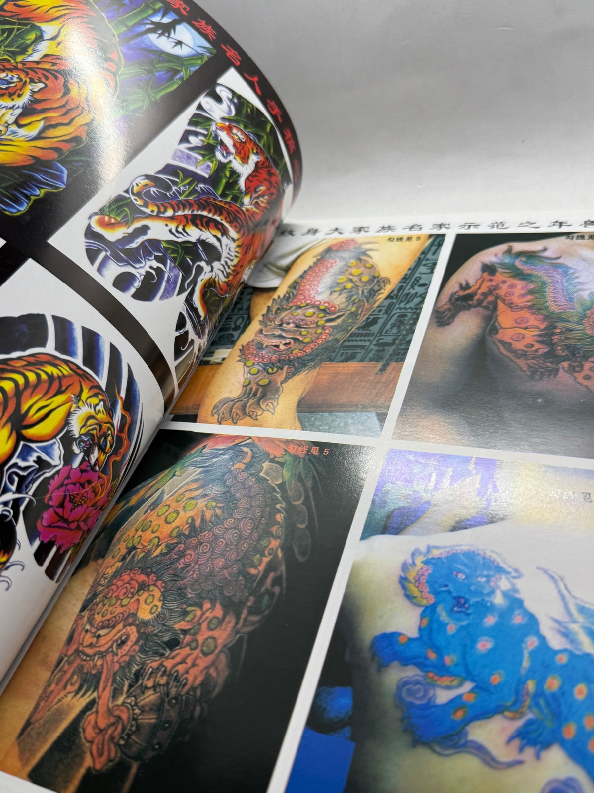 Tattoo Master Family 5 Chinese Tattoo Flash Book, Tigers Lions Leopards - Thrift GoblinBook