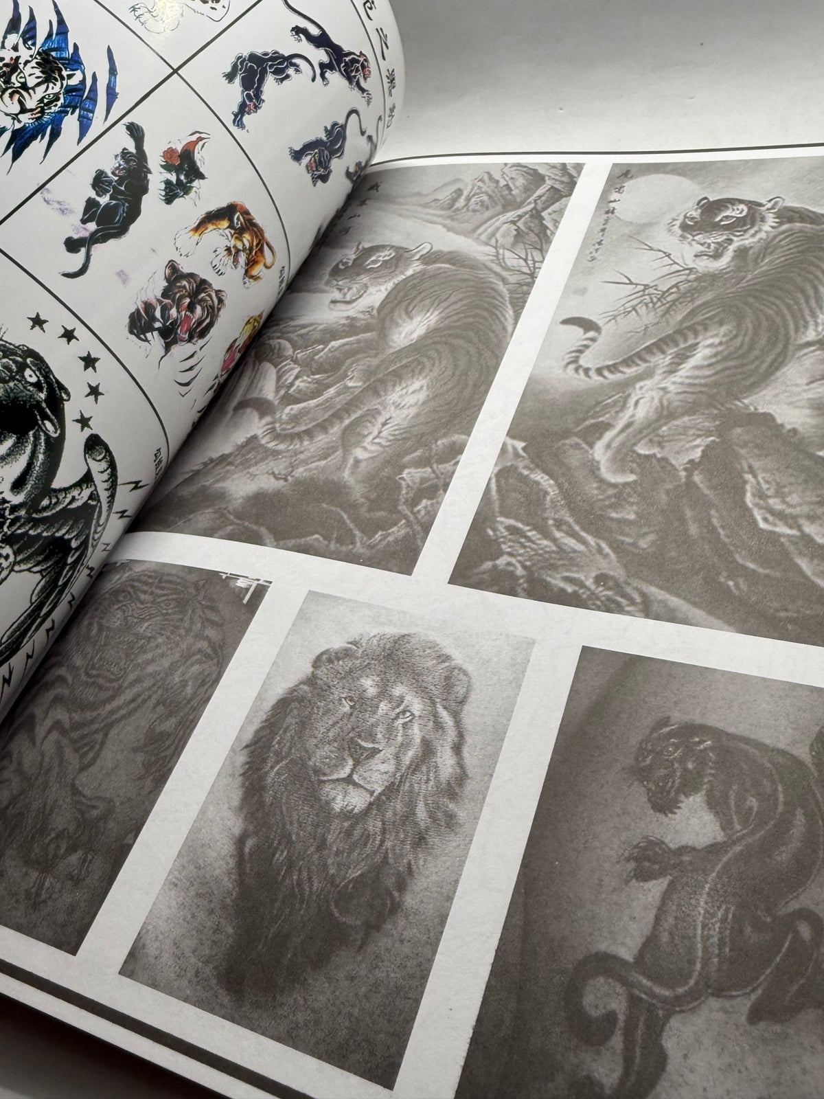 Tattoo Master Family 5 Chinese Tattoo Flash Book, Tigers Lions Leopards - Thrift GoblinBook