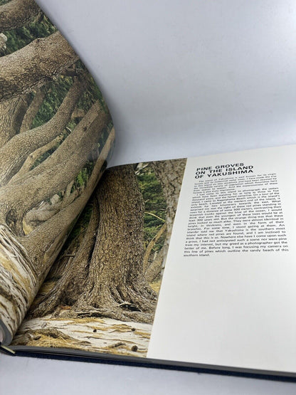 The Beauty of Japan By Ken Domon FIRST EDITION 1978 ITO Ham Provisions Co EX CON - thriftgoblin