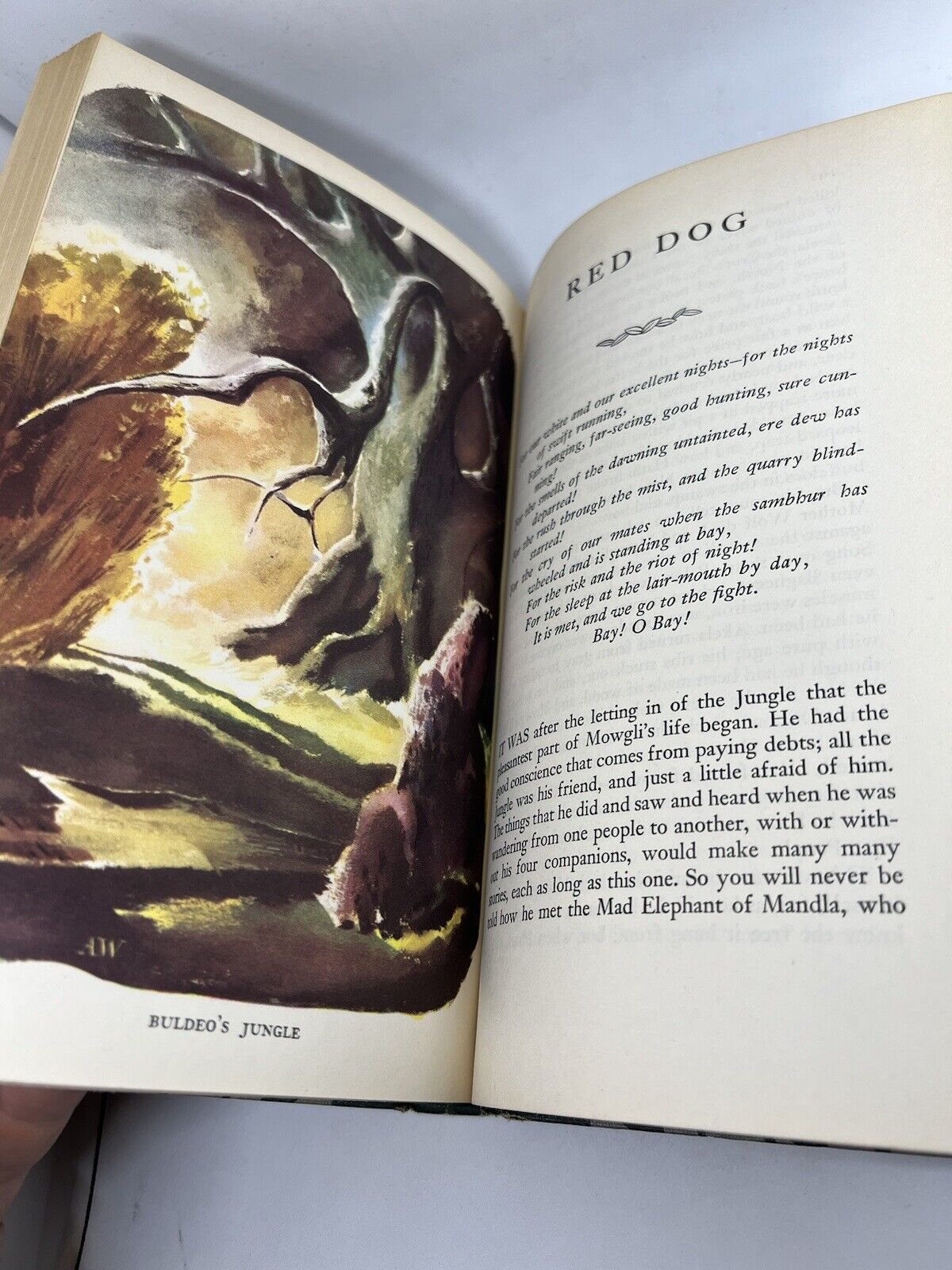 THE JUNGLE BOOK vol 1 by Rudyard Kipling * 1948 Doubleday - Hardback - thriftgoblin