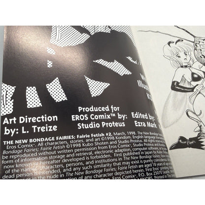 Vintage 1998 Bondage Fairies Comic Book 2 — Rare English Manga Issue - thriftgoblin