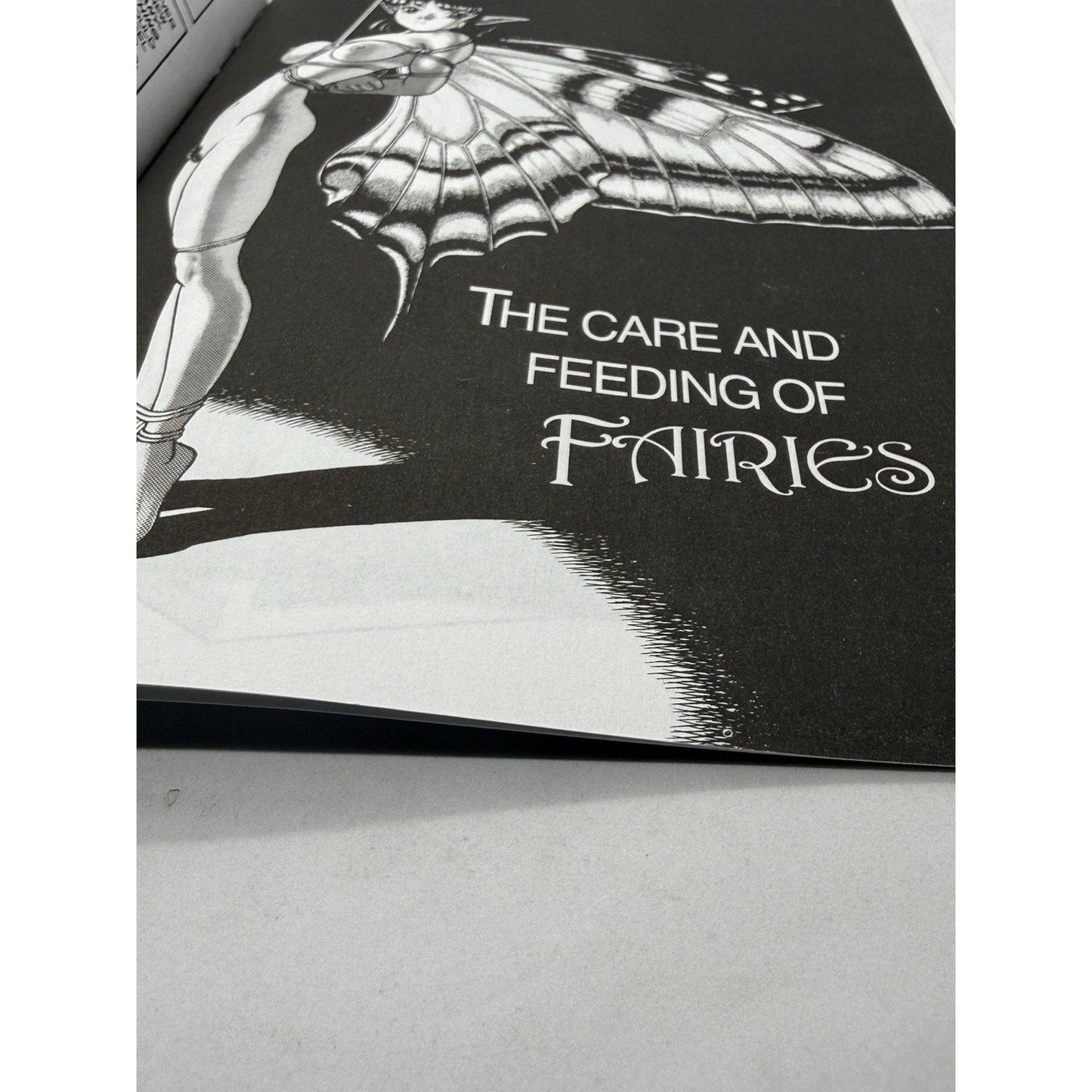 Vintage 1998 Bondage Fairies Comic Book 8 — Rare English Manga Issue - thriftgoblin