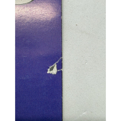 Vintage 2000 Eros Comix Issue 12 — Rare Collector’s Edition Manga Book - thriftgoblin