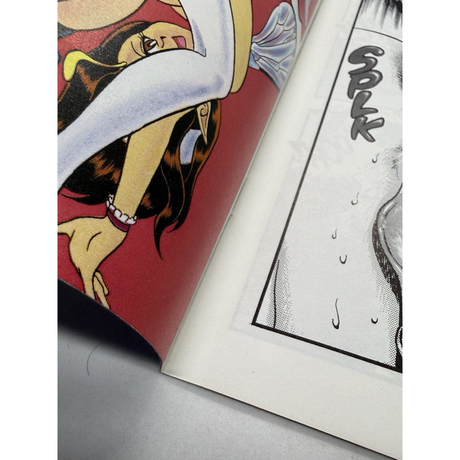 Vintage 2000 Eros Comix Issue 12 — Rare Collector’s Edition Manga Book - thriftgoblin