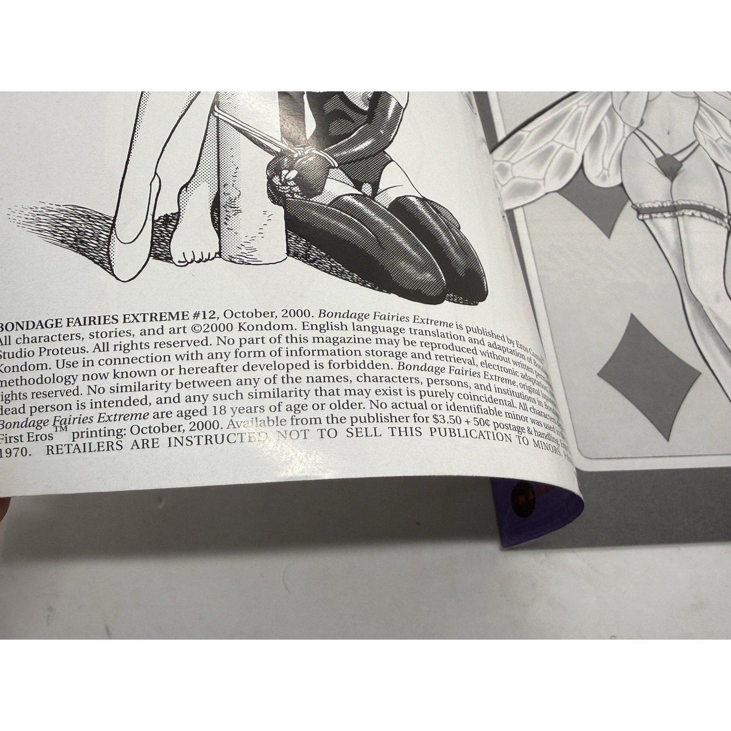 Vintage 2000 Eros Comix Issue 12 — Rare Collector’s Edition Manga Book - thriftgoblin