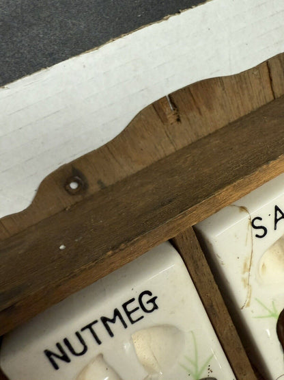 Vintage Spice Rack Ceramic Mushroom 6 Jar Set Wood Wall Japan 1950 Kitschy Decor - thriftgoblin