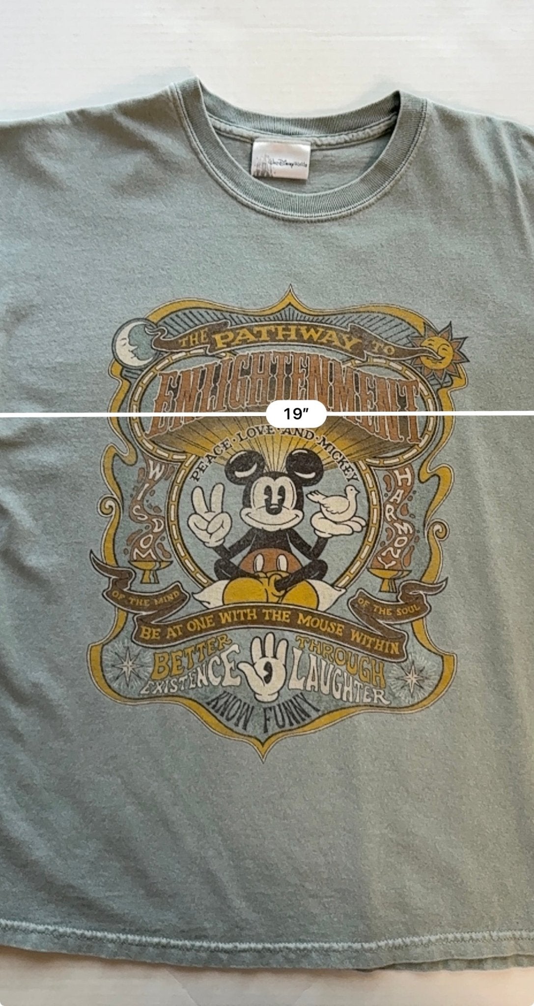 Walt Disney World Mickey Mouse Pathway to Enlightenment Tee Sage Green M - thriftgoblinTee
